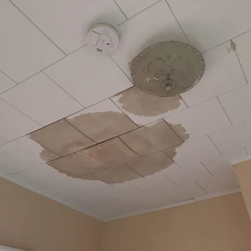 Ceiling Water Damage Repair in Woodbury Center, CT