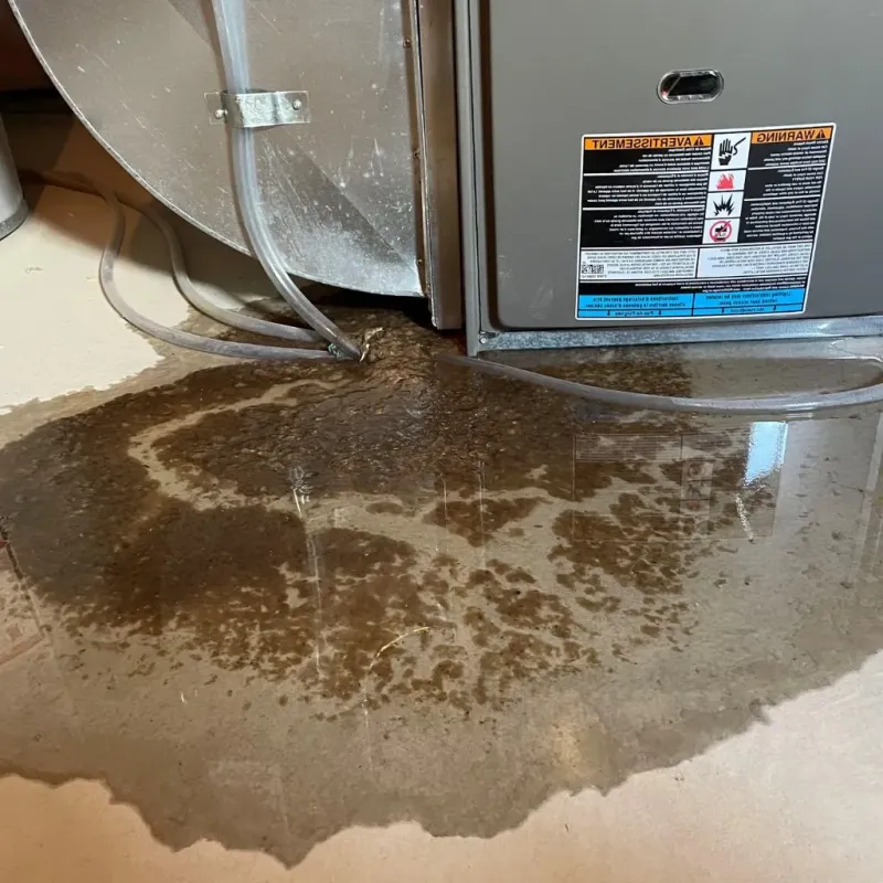 Pipe Burst and Leak Restoration in Woodbury Center, CT