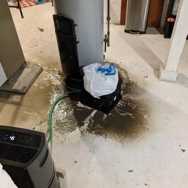 Sewage Backup Cleanup Service in Woodbury Center, CT